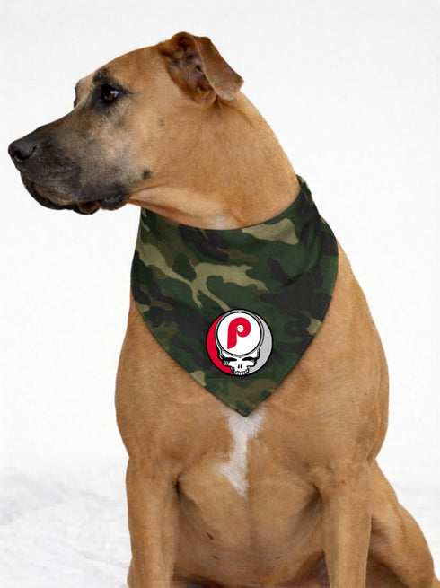 Philadelphia Phillies Stealie Grateful Dead Dog Bandana - Fits Most Dogs