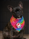 Philadelphia Phillies Stealie Grateful Dead Dog Bandana - Fits Most Dogs