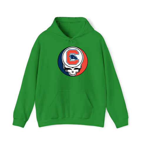 1663 - Custom Stealie Hoodie