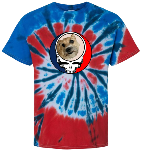 1488 - Custom Stealie Tie-Dye