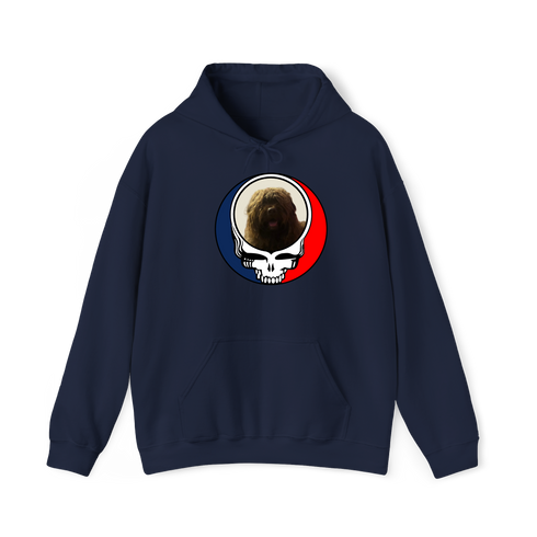1461 - Custom Stealie Hoodie