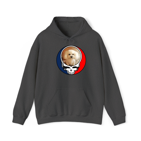 1641 - Custom Stealie Hoodie
