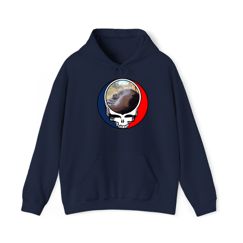 1634 - Custom Stealie Hoodie