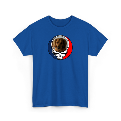 1729 - Custom Stealie T-Shirt