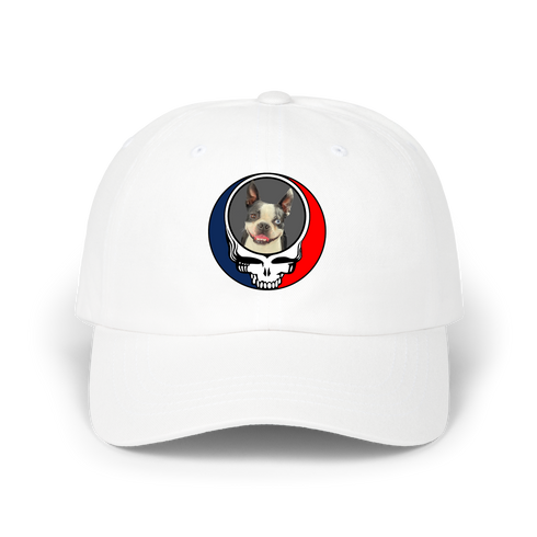 1445 - Custom Stealie Dad Hat