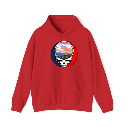 1596 - Custom Stealie Hoodie