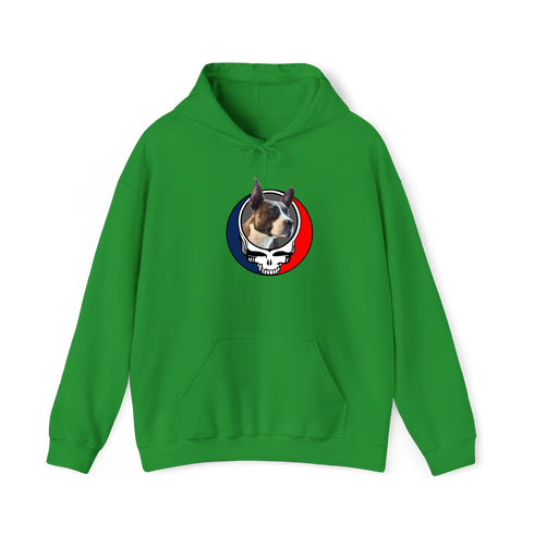 1450 - Custom Stealie Hoodie