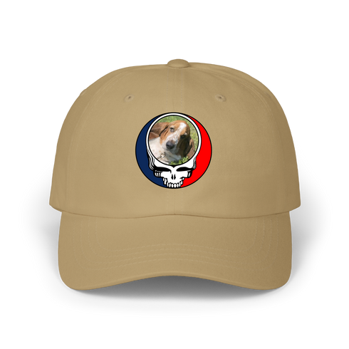 1682 - Custom Stealie Dad Hat