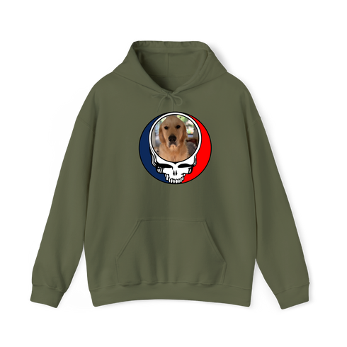 1633 - Custom Stealie Hoodie