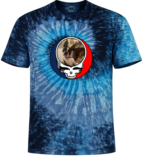 1404 - Custom Stealie Tie-Dye