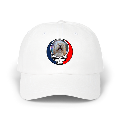 1643 - Custom Stealie Dad Hat