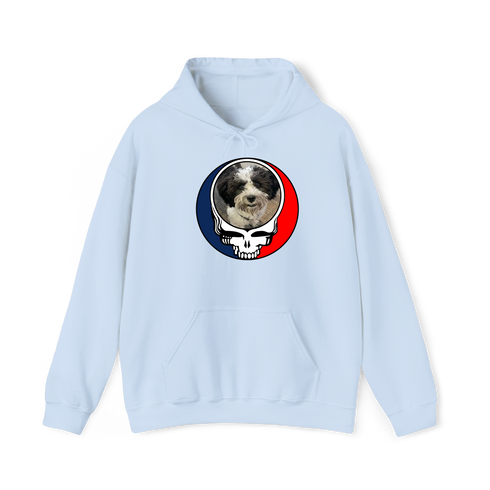 1595 - Custom Stealie Hoodie