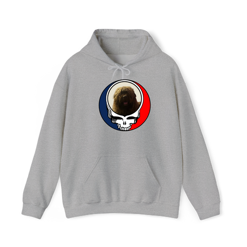 1461 - Custom Stealie Hoodie