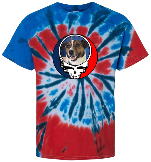 1550 - Custom Stealie Tie-Dye
