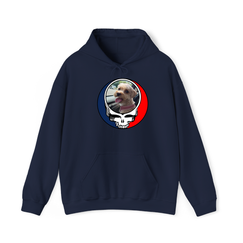 1644 - Custom Stealie Hoodie