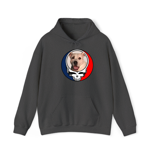 1543 - Custom Stealie Hoodie