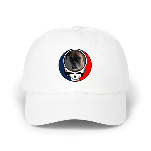 1451 - Custom Stealie Dad Hat