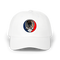 1451 - Custom Stealie Dad Hat