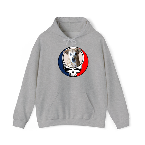 1474 - Custom Stealie Hoodie
