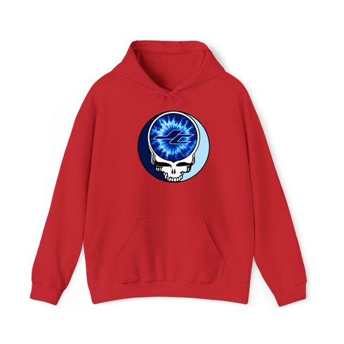 1607 - Custom Stealie Hoodie