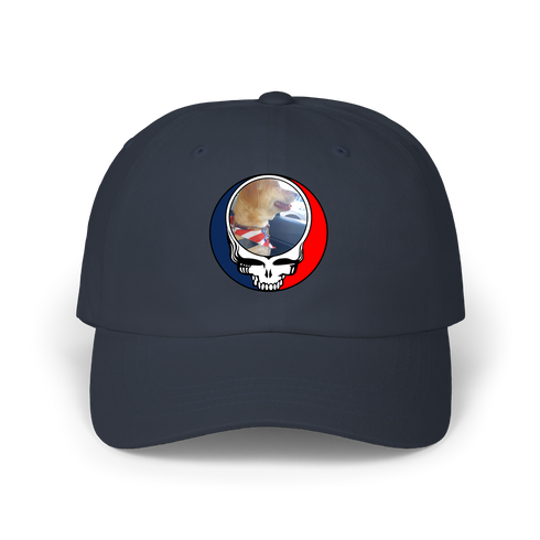 1647 - Custom Stealie Dad Hat