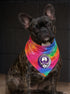 Colorado Rockies Stealie Grateful Dead Dog Bandana - Fits Most Dogs