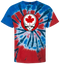 1555 - Custom Stealie Tie-Dye