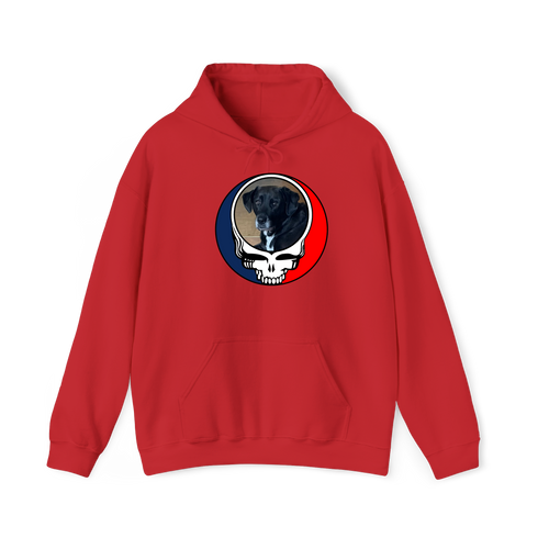 1568 - Custom Stealie Hoodie