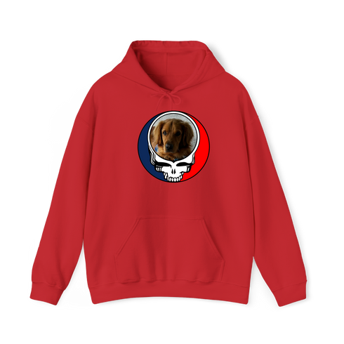 1729 - Custom Stealie Hoodie