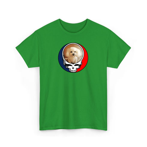 1641 - Custom Stealie T-Shirt