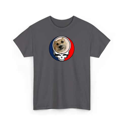 1488 - Custom Stealie T-Shirt