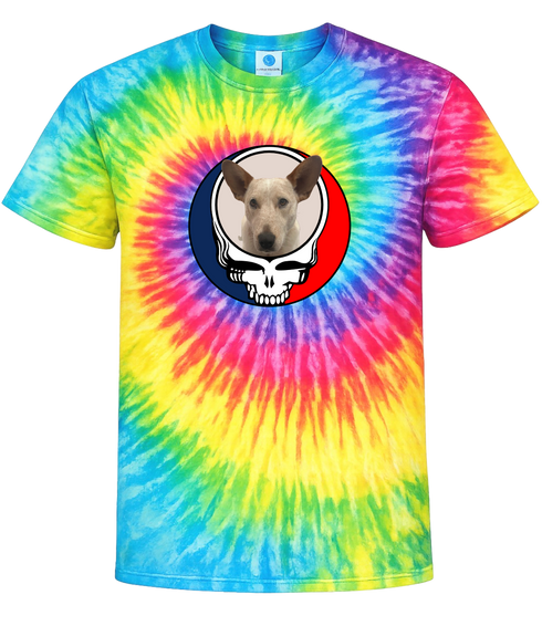 1546 - Custom Stealie Tie-Dye