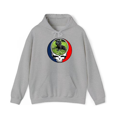1448 - Custom Stealie Hoodie