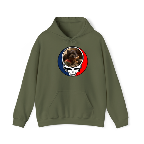 1544 - Custom Stealie Hoodie