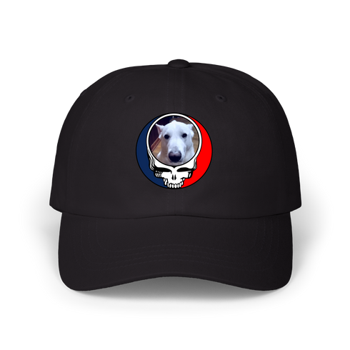 1569 - Custom Stealie Dad Hat