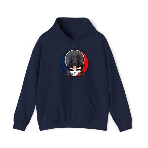 1620 - Custom Stealie Hoodie
