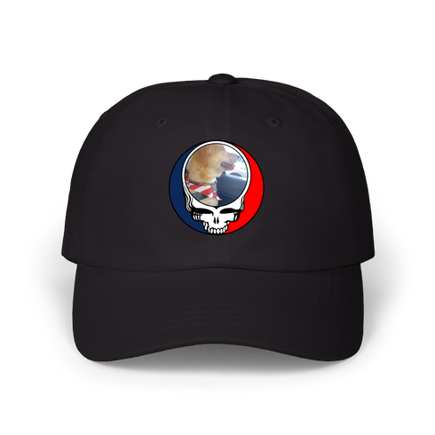1647 - Custom Stealie Dad Hat
