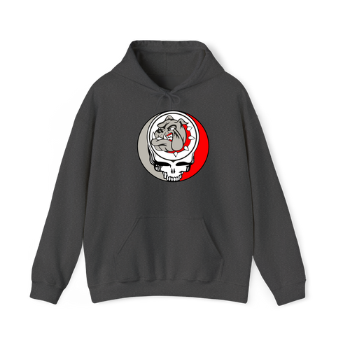 1732 - Custom Stealie Hoodie