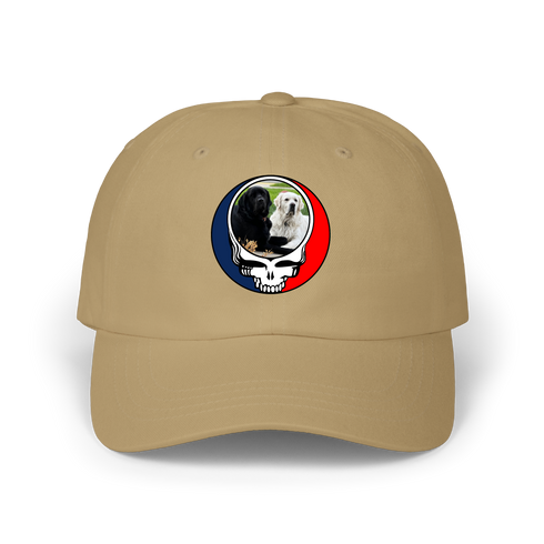 1619 - Custom Stealie Dad Hat