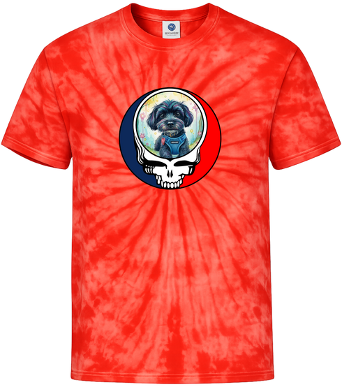 1540 - Custom Stealie Tie-Dye