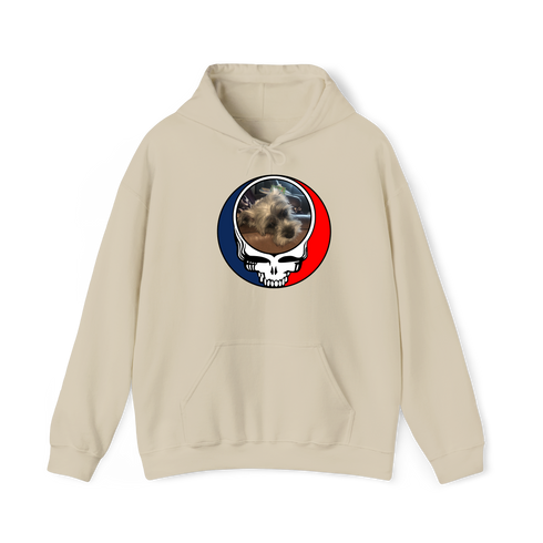 1395 - Custom Stealie Hoodie