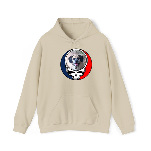 1755 - Custom Stealie Hoodie