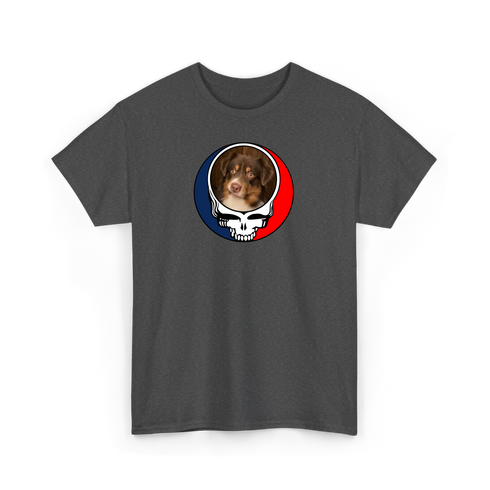 1501 - Custom Stealie T-Shirt