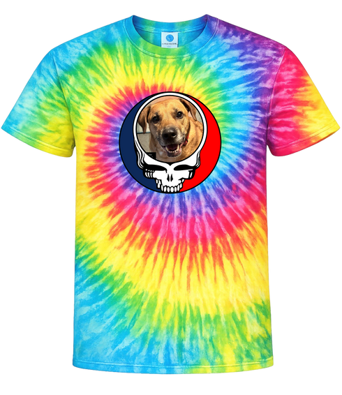 1672 - Custom Stealie Tie-Dye