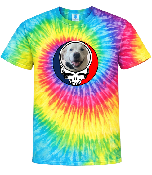 1564 - Custom Stealie Tie-Dye