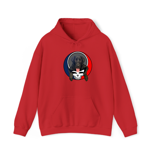 1620 - Custom Stealie Hoodie