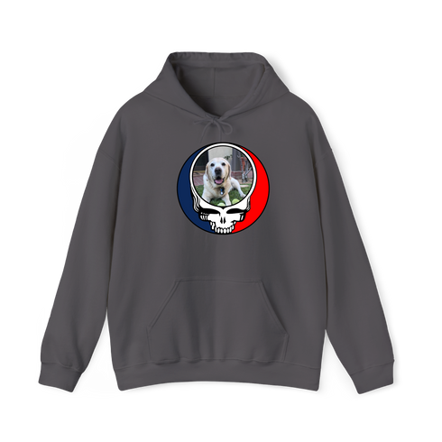 1443 - Custom Stealie Hoodie
