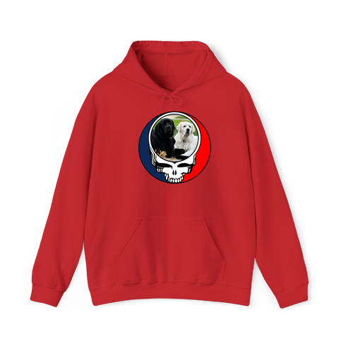 1619 - Custom Stealie Hoodie