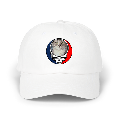 1722 - Custom Stealie Dad Hat