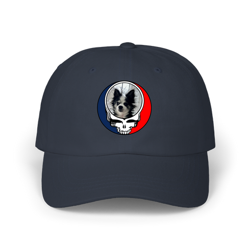 1709 - Custom Stealie Dad Hat